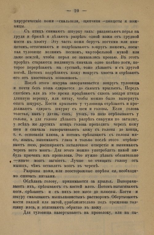Страница 24
