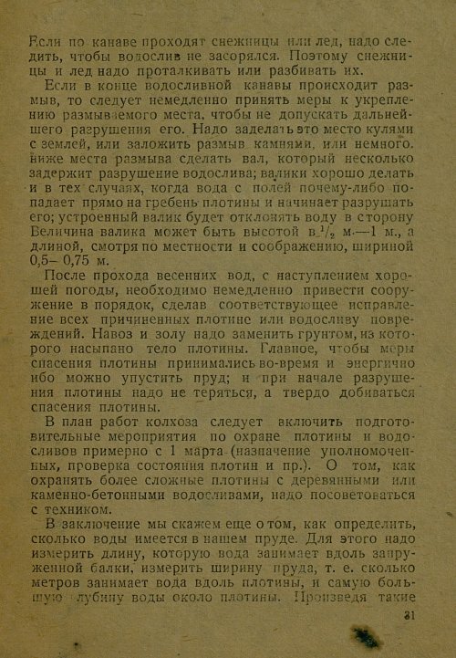 Страница 31