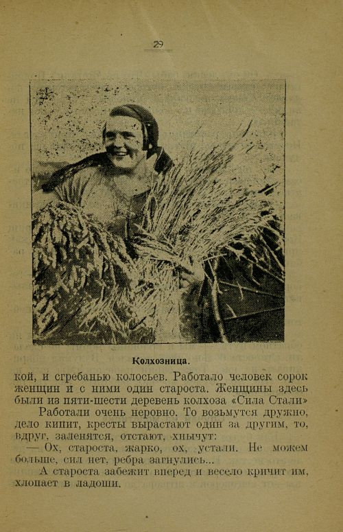 Страница 33
