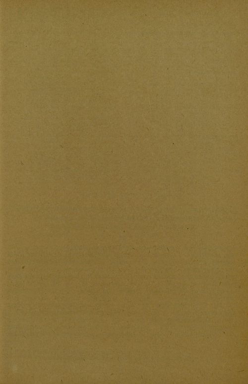Страница 249