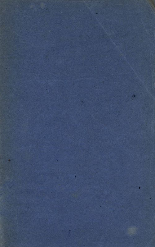 Страница 393