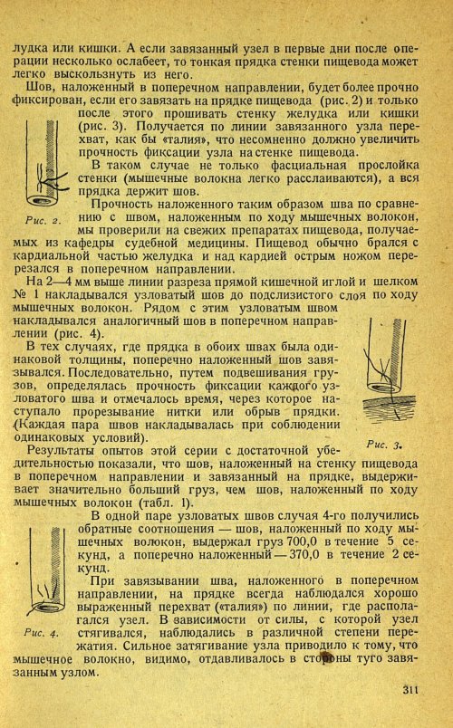 Страница 315