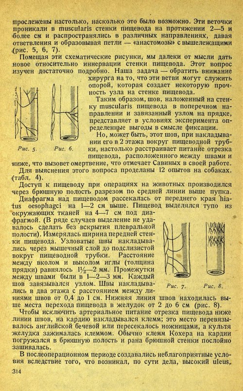 Страница 318