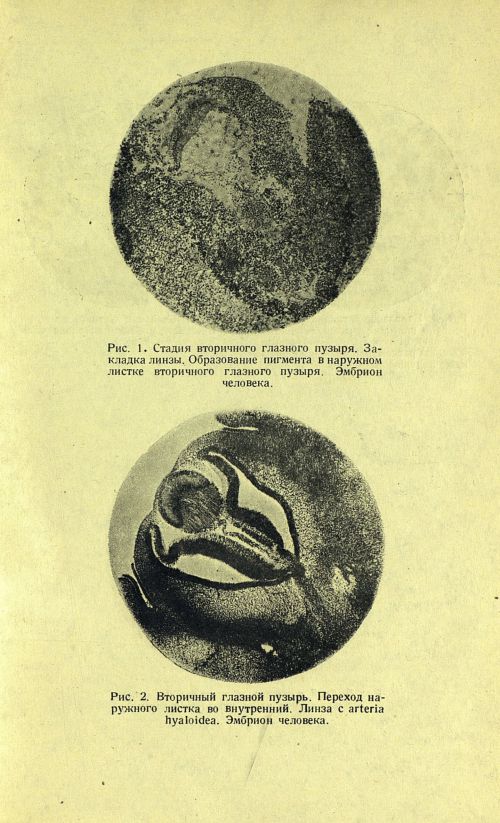 Страница 45