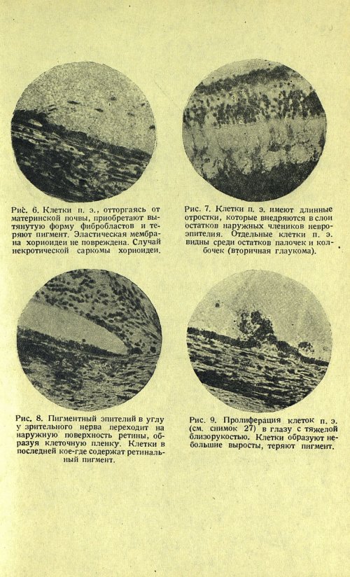 Страница 47