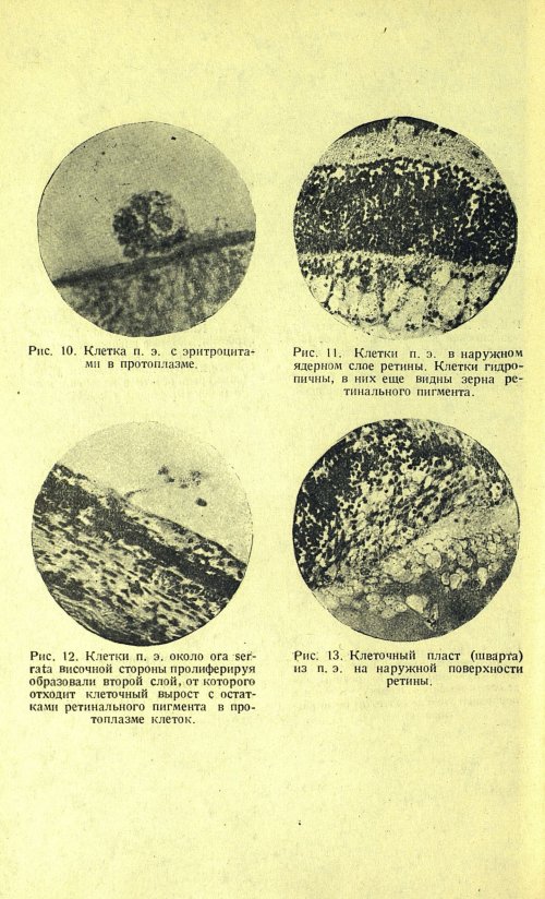 Страница 48