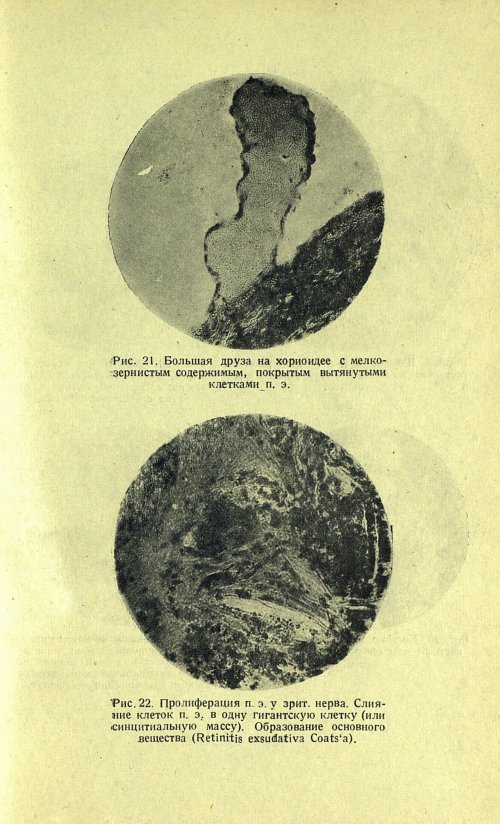 Страница 51