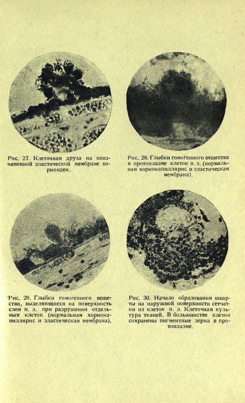 Страница 53