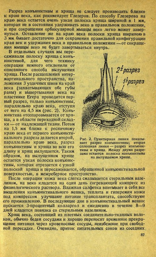 Страница 101