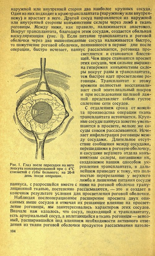 Страница 118