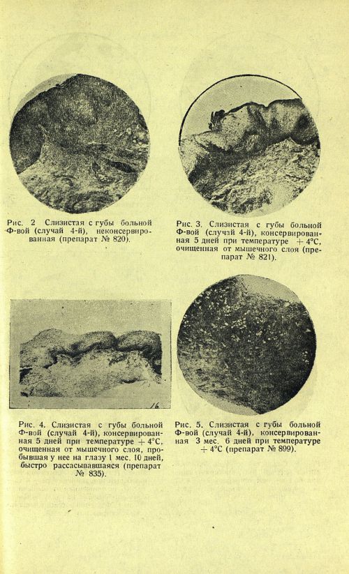 Страница 119