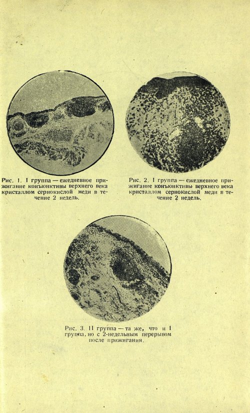 Страница 145
