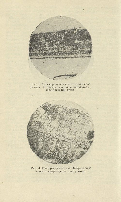 Страница 102