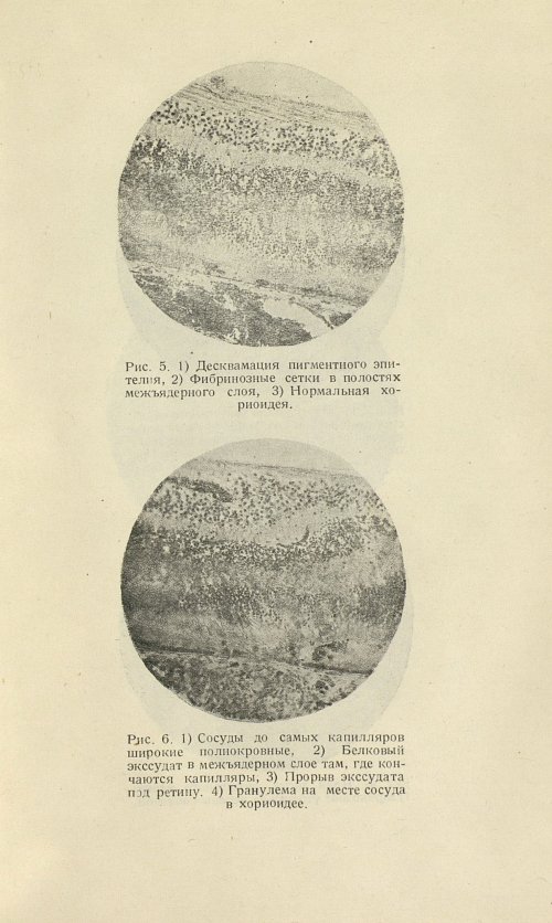 Страница 103