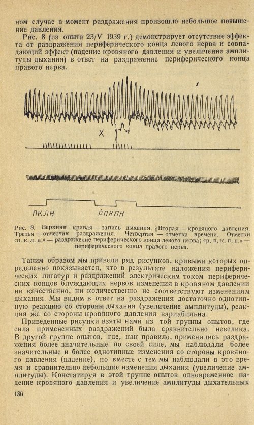 Страница 146
