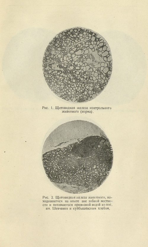 Страница 189