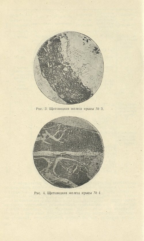 Страница 190