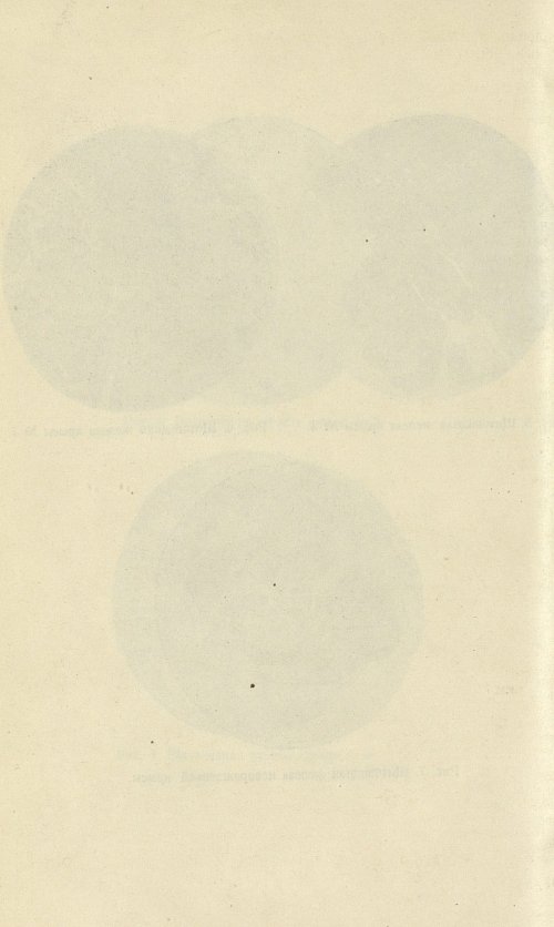 Страница 192