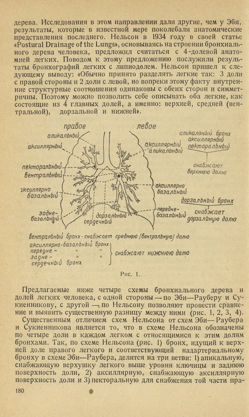 Страница 196