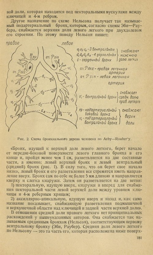 Страница 197