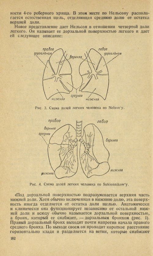 Страница 198
