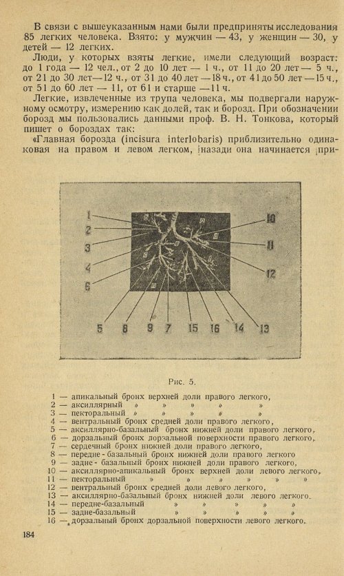 Страница 200