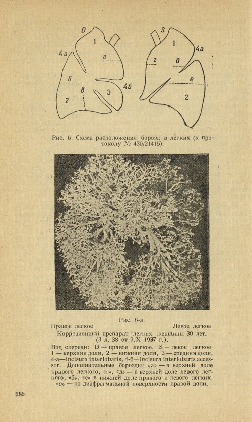 Страница 202