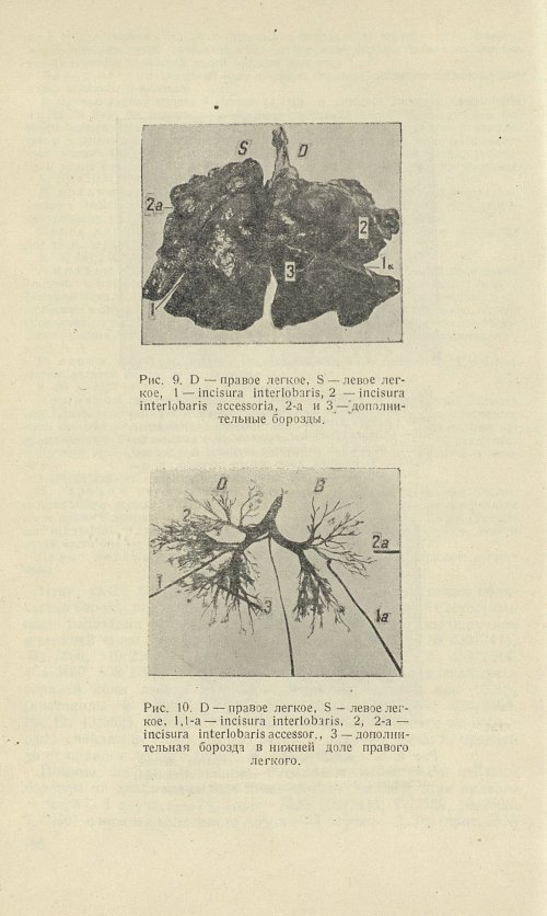 Страница 210