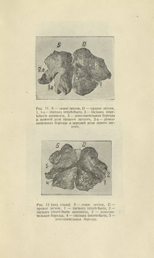 Страница 211
