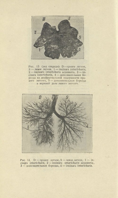 Страница 212