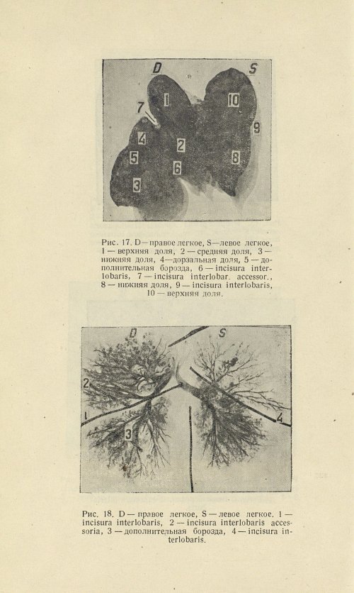 Страница 214