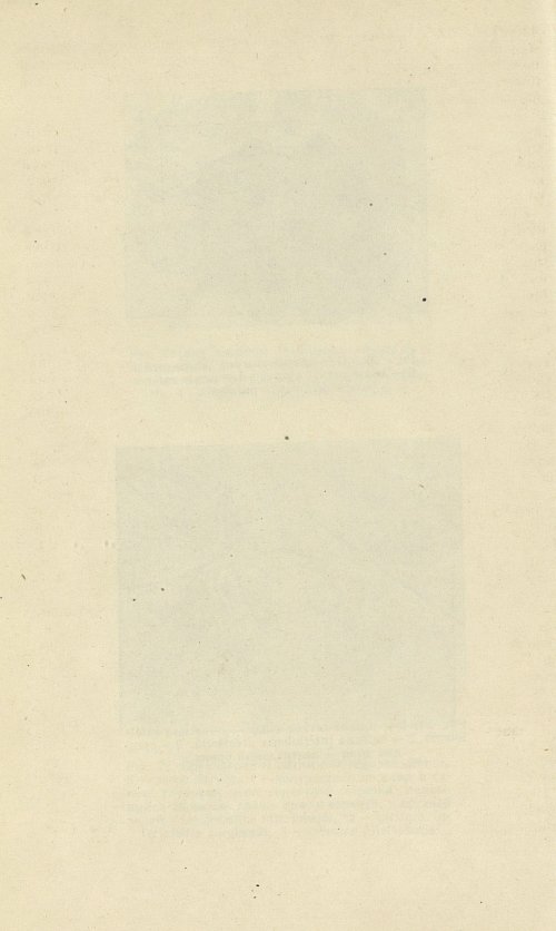 Страница 218