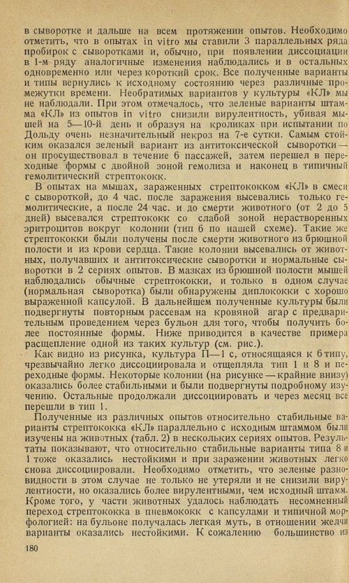Страница 184