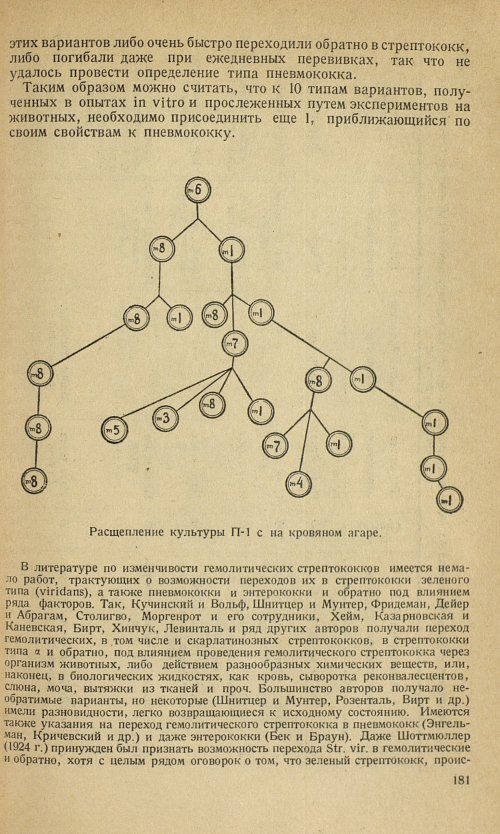 Страница 185