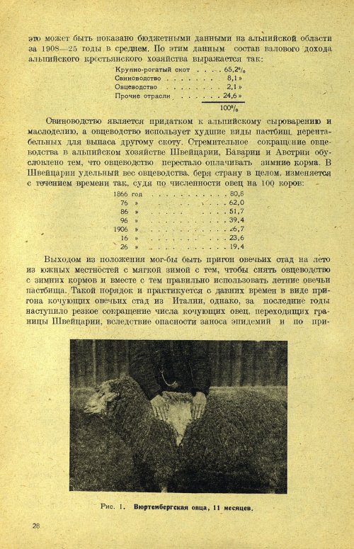 Страница 34