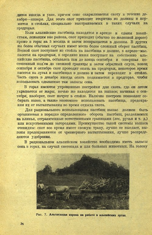 Страница 42