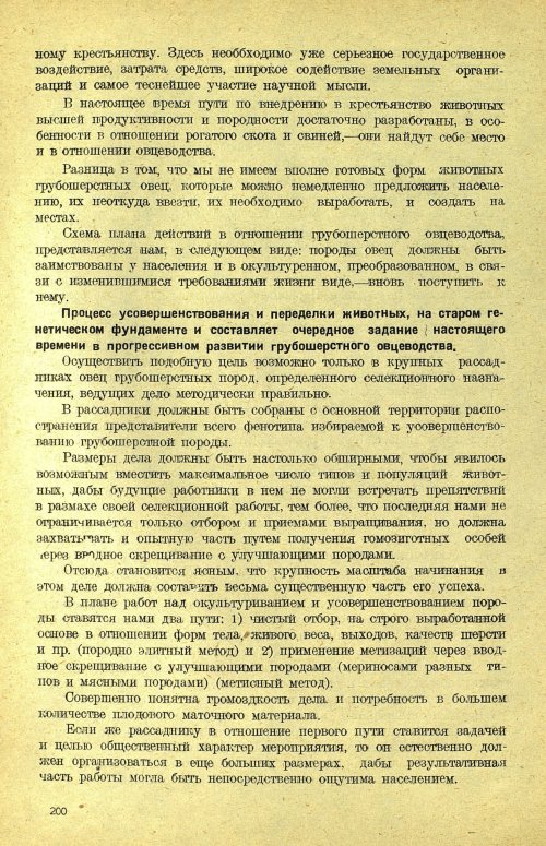Страница 206