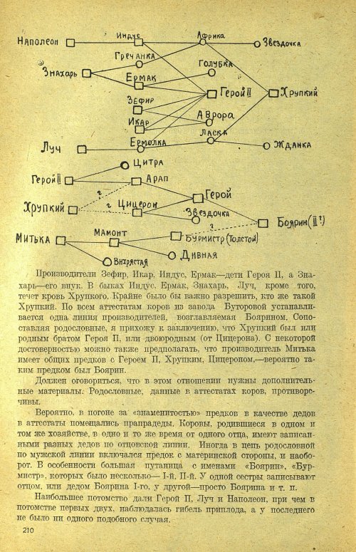 Страница 216