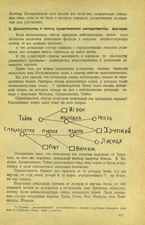 Страница 219