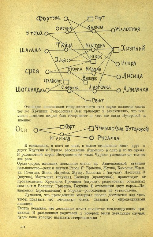 Страница 220