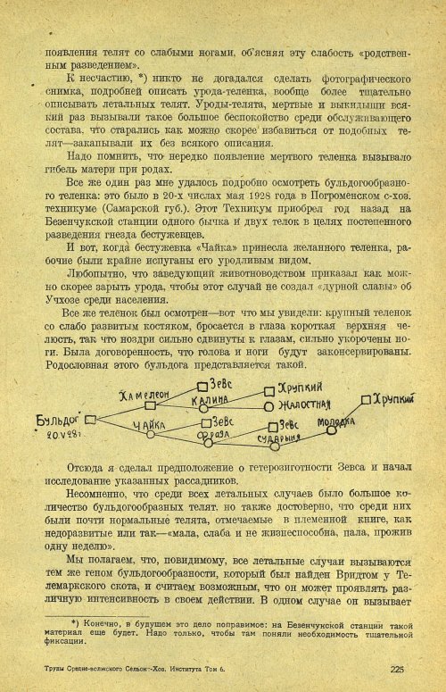 Страница 231
