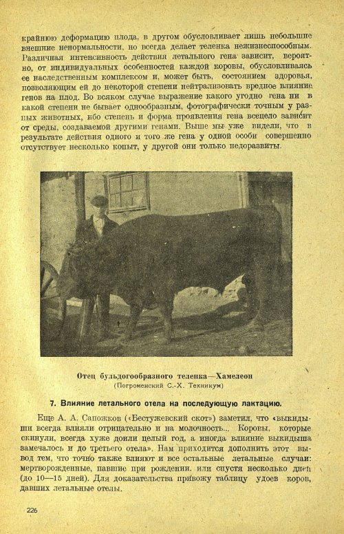Страница 232