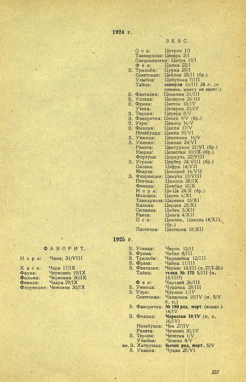 Страница 243