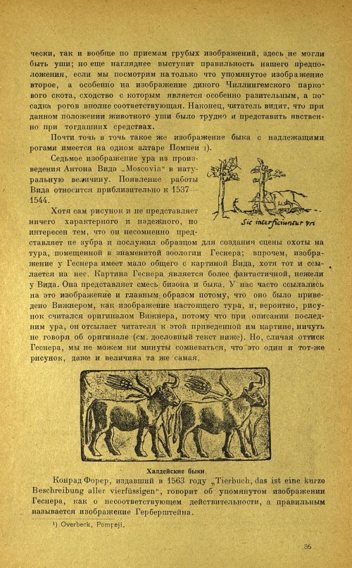 Страница 90