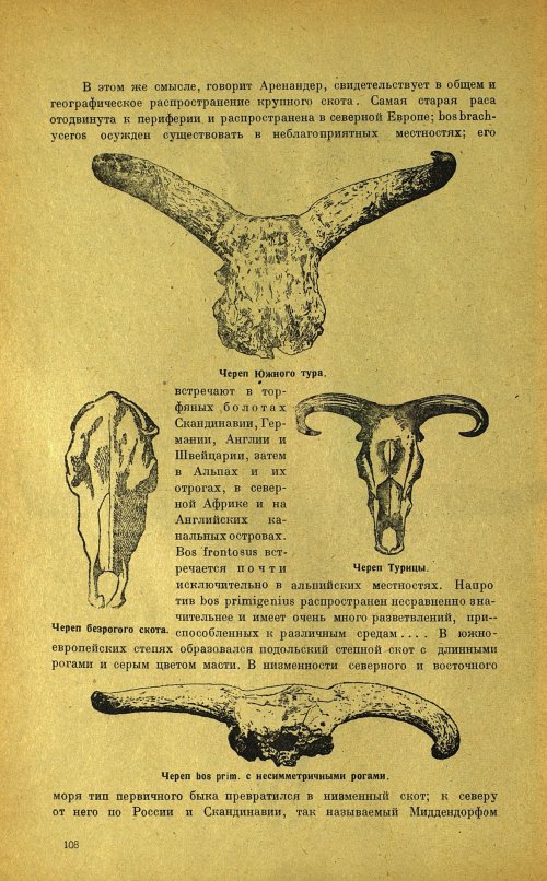 Страница 112