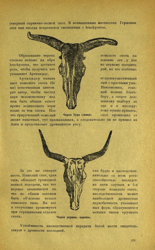 Страница 113