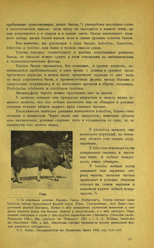Страница 119