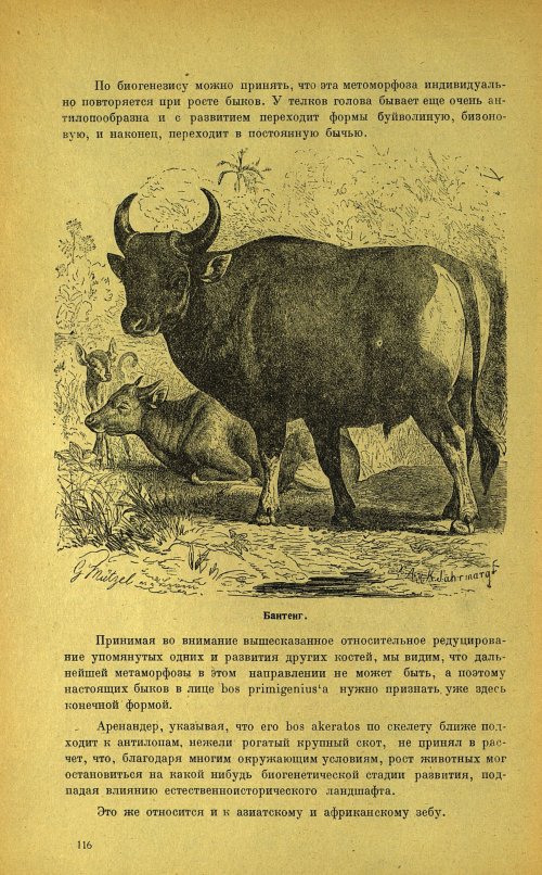 Страница 120