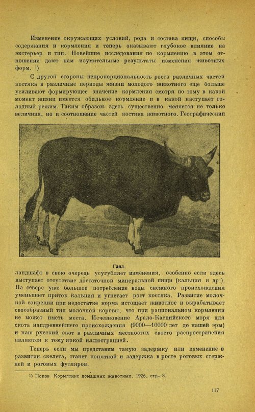 Страница 121