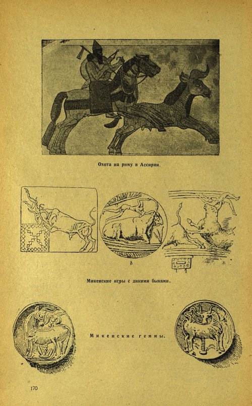 Страница 174